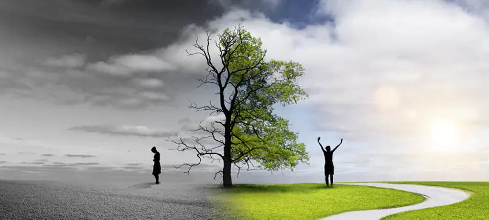 Healing Big Traumas & Deep-seated Fears Across the Bay Area